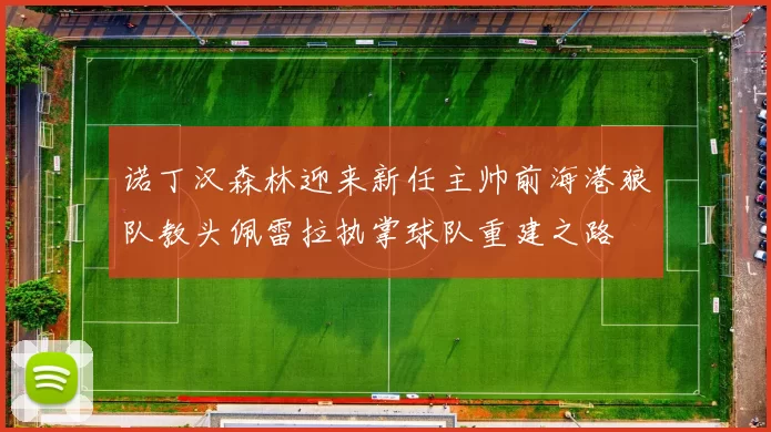 诺丁汉森林迎来新任主帅前海港狼队教头佩雷拉执掌球队重建之路